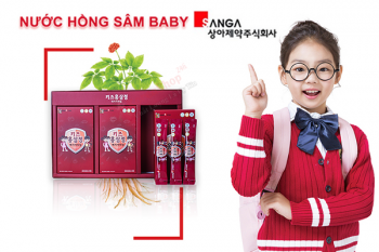 Nước Hồng Sâm Sanga Baby Hàn Quốc 30 Gói