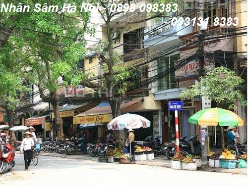 cua hang nhan sam ha noi chat luong cao tai pho doan thi diem