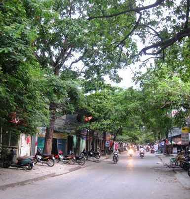 cua hang nhan sam ha noi chat nhat tai pho dang van ngu