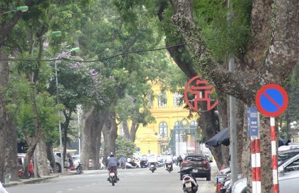 Cua hang nhan sam han quoc uy tin lau nam tren pho hoang van thu