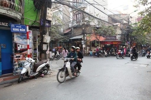 cua hang nhan sam ha noi cao cap tai pho hang mam