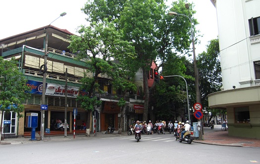 cua hang nhan sam ha noi chat luong cao tai phuong yen so