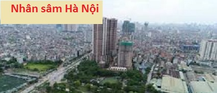 cua hang nhan sam ha noi khu vuc den lu