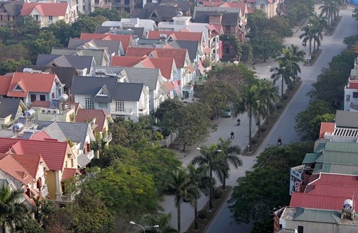 cua hang nhan sam ha noi noi tieng tai pho bach thai buoi