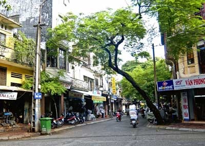 cua hang nhan sam uy tin lau nam tren pho hang chai